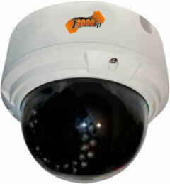 Купольные IP-камеры J2000IP-D113-Ir1-PDN
