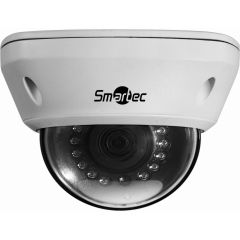 Купольные IP-камеры Smartec STC-IPM3540/1