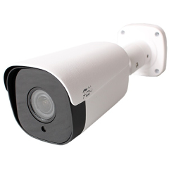 Уличные IP-камеры Fox FX-IPC-C20AP-IR
